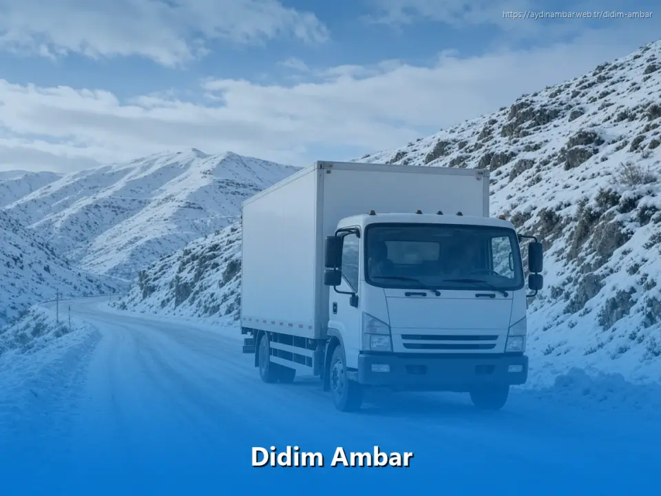 Didim Ambar