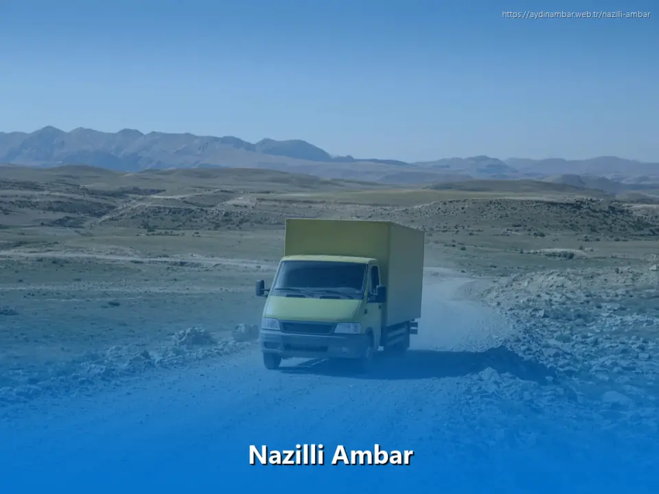 Nazilli Ambar