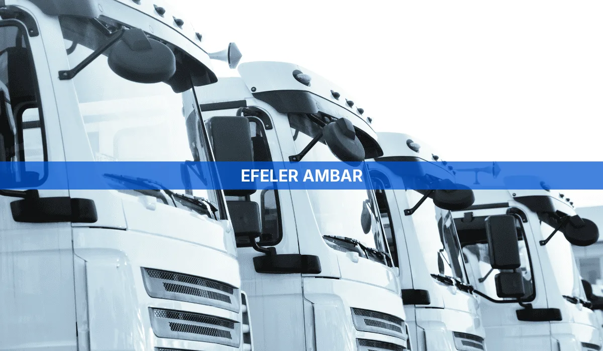 Efeler Ambar